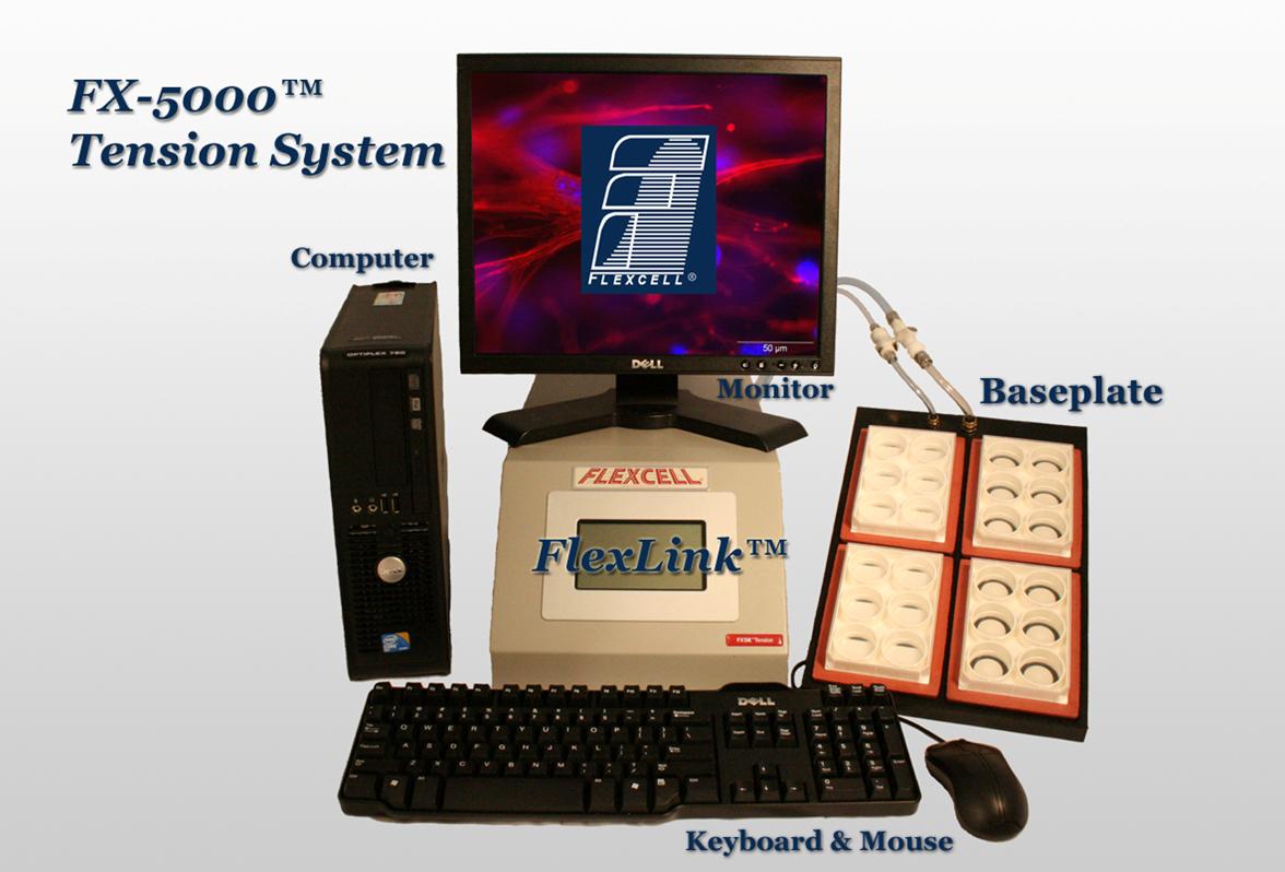 FX-5000C細(xì)胞拉力系統(tǒng)、細(xì)胞壓力系統(tǒng)