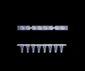 0.2ml八聯(lián)排PCR管，光學(xué)平蓋，透明，科進(jìn)/KIRGEN