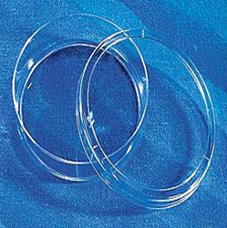 康寧/Corning430166細(xì)胞培養(yǎng)皿(60mm) TC處理，無(wú)菌
