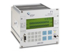 德國elster流量計(jì)算機(jī)gas-net F1