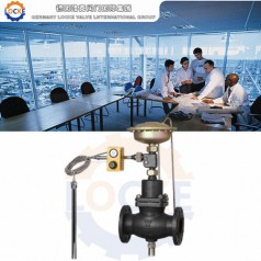 進(jìn)口自力式流量溫度組合閥性能參數(shù),報價/價格,圖片