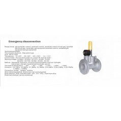 進(jìn)口低壓緊急切斷電磁閥（通電關(guān)閉、手動(dòng)打開）