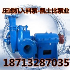 100ZJW-II臥式壓濾機入料加壓雜質(zhì)泵礦用渣漿泵泥沙泵
