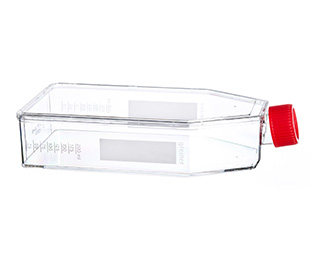 貼壁細(xì)胞培養(yǎng)瓶（TC處理，滅菌）661160 175cm&#178;，最大容積650ml（high）