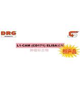 L1-CAM (CD171) 腫瘤標志物 L1-CAM 是卵巢癌和子宮內(nèi)膜癌發(fā)展進程的一個標志物