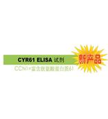 CYR61 是診斷 / 判斷乳腺癌惡化的腫瘤標志物。