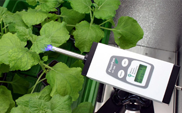 Monitoring Pen MP 100植物葉綠素?zé)晒鉁y量儀