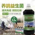 em菌種原種給雛鴿飲水專(zhuān)用怎么購(gòu)買(mǎi)