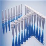 羅氏專(zhuān)用八聯(lián)管0.2mlPCR8聯(lián)排乳白色@頭條新聞